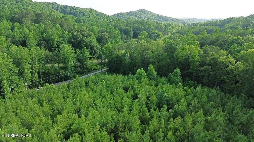 Discover the peaceful beauty of Highland Shores, a scenic rural - photo 9