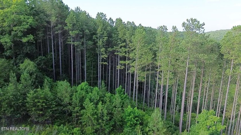 Discover the peaceful beauty of Highland Shores, a scenic rural - photo 10