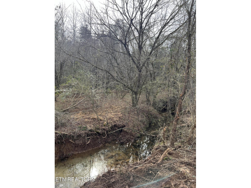 This beautiful 56 Acres of property has lots of potential. You - photo 2