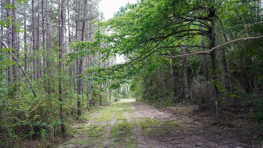 This is the ideal tract for the savvy investor/recreational - photo 15