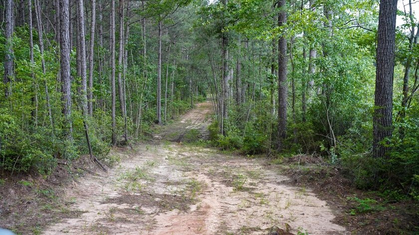 This is the ideal tract for the savvy investor/recreational - photo 16