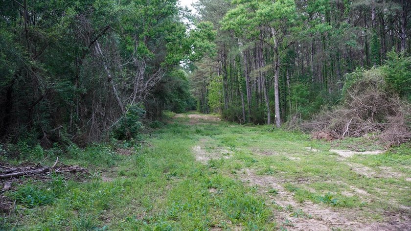 This is the ideal tract for the savvy investor/recreational - photo 22
