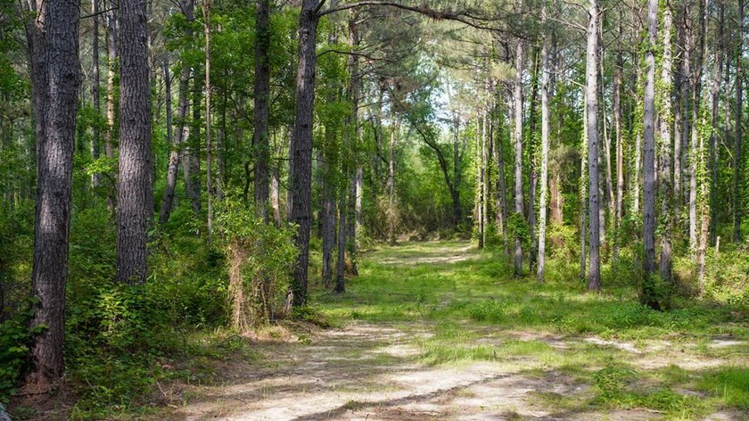 This is the ideal tract for the savvy investor/recreational - photo 25