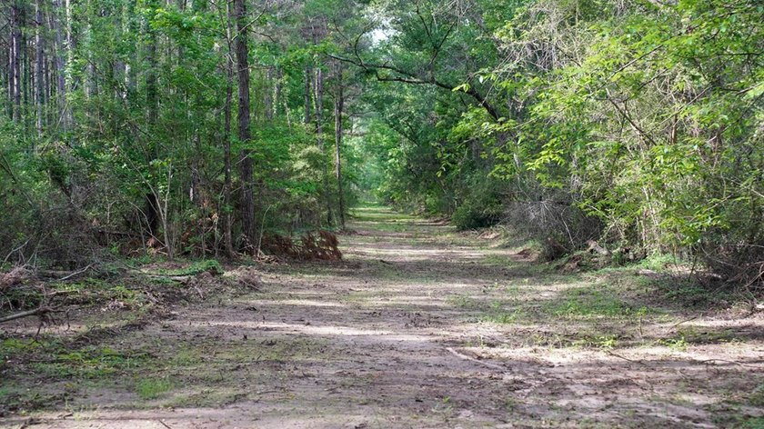 This is the ideal tract for the savvy investor/recreational - photo 26