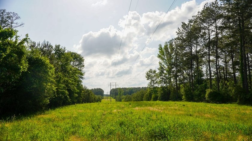 This is the ideal tract for the savvy investor/recreational - photo 31