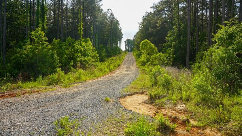 This is the ideal tract for the savvy investor/recreational - photo 34