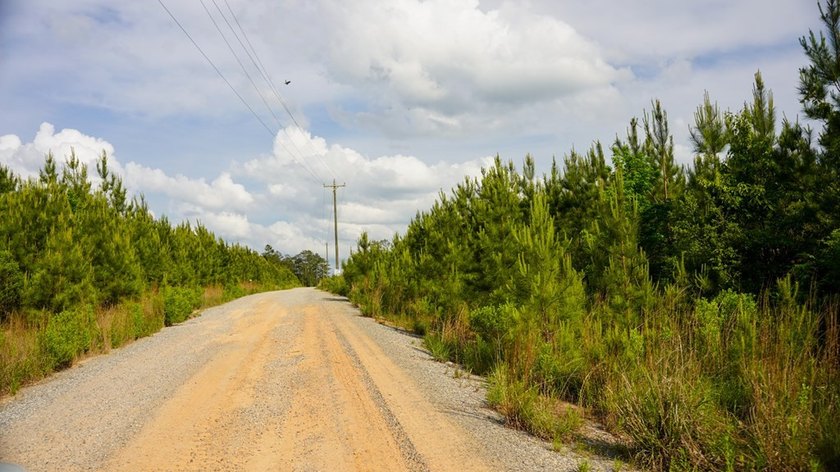 This is the ideal tract for the savvy investor/recreational - photo 35