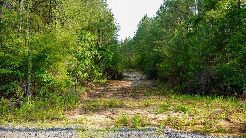This is the ideal tract for the savvy investor/recreational - photo 36