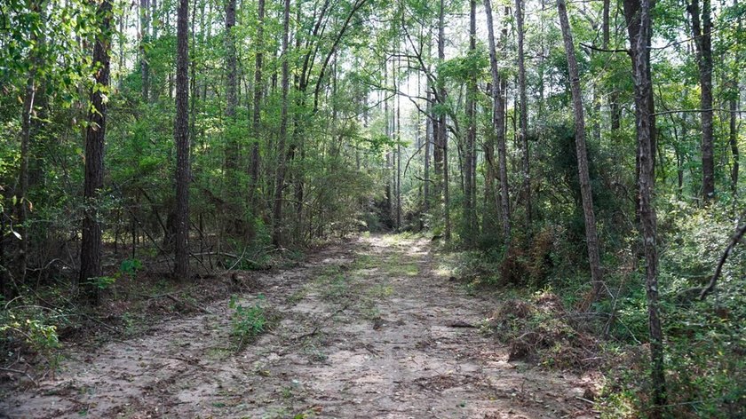 This is the ideal tract for the savvy investor/recreational - photo 41