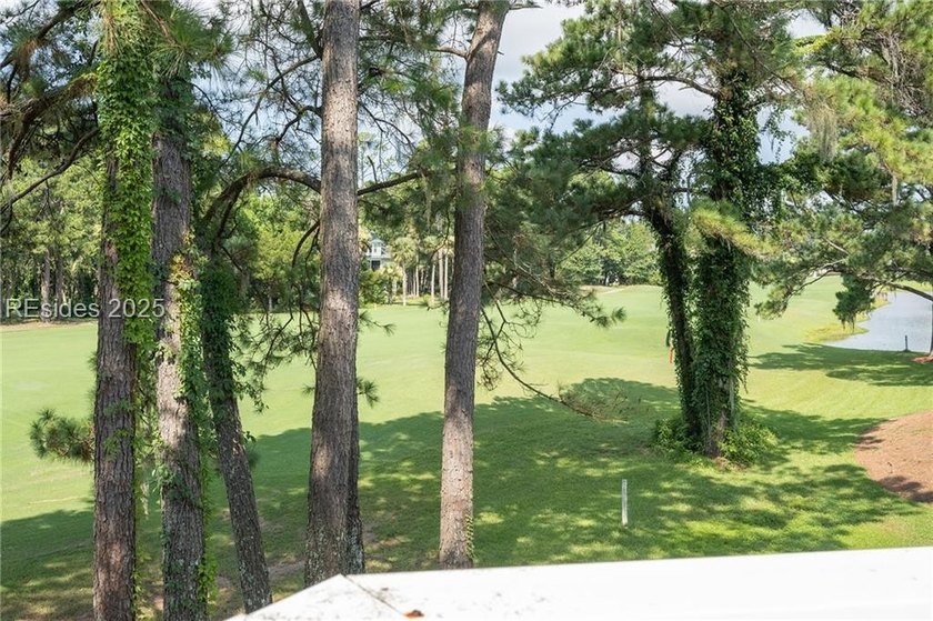 Enjoy the ideal Lowcountry villa only minutes away from Hilton - photo 21