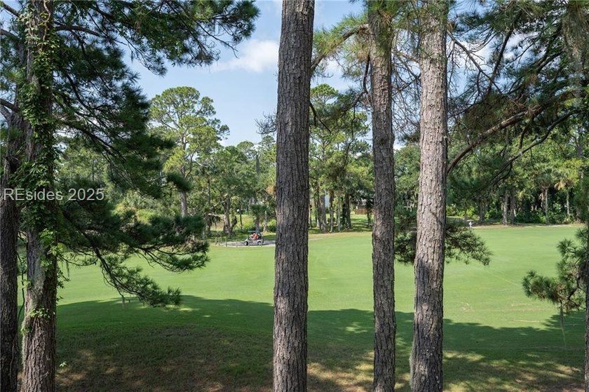 Enjoy the ideal Lowcountry villa only minutes away from Hilton - photo 22