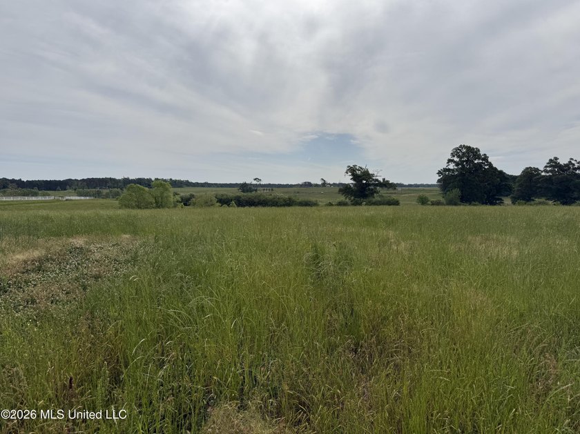 100.18+/- acres in Lawrence County, MS in the Jayess community - photo 3
