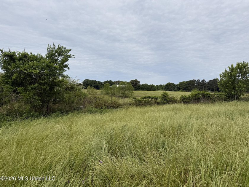 100.18+/- acres in Lawrence County, MS in the Jayess community - photo 9