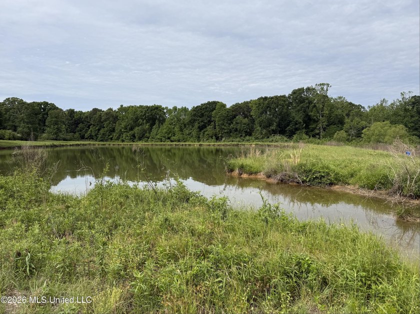 100.18+/- acres in Lawrence County, MS in the Jayess community - photo 10
