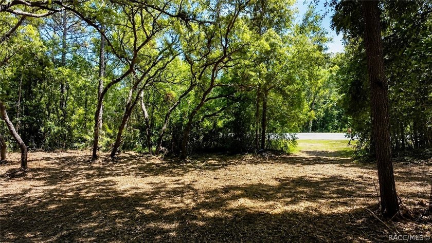Professionally cleared and ready to build - this 0.61-acre - photo 11