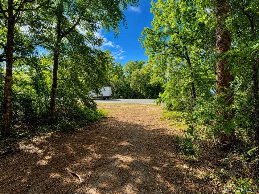Professionally cleared and ready to build - this 0.61-acre - photo 13