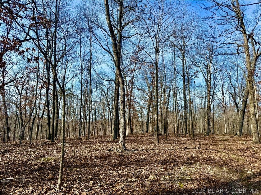 Build your dream country estate with lake views of the 50mm or - photo 14