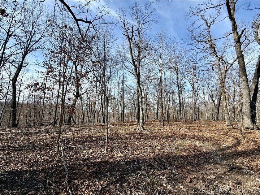 Build your dream country estate with lake views of the 50mm or - photo 15