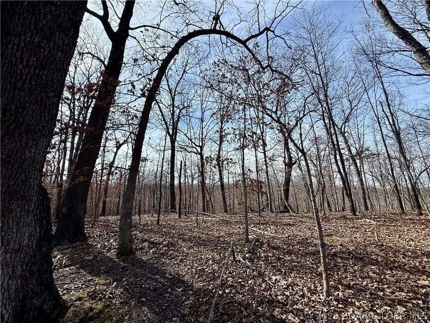 Build your dream country estate with lake views of the 50mm or - photo 16