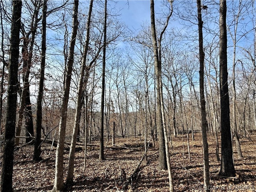 Build your dream country estate with lake views of the 50mm or - photo 18