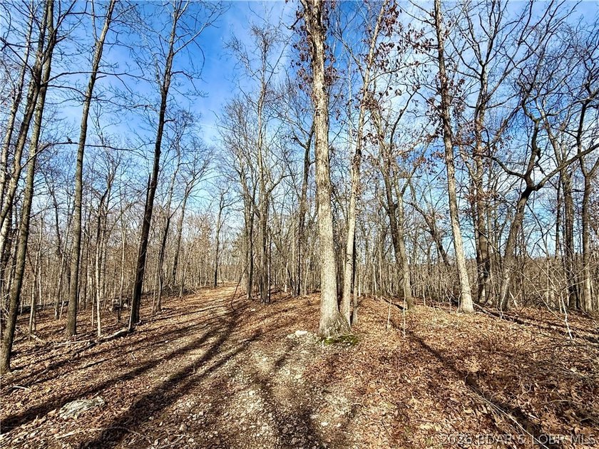 Build your dream country estate with lake views of the 50mm or - photo 19