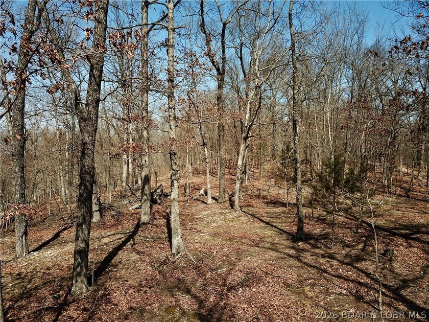 Build your dream country estate with lake views of the 50mm or - photo 20