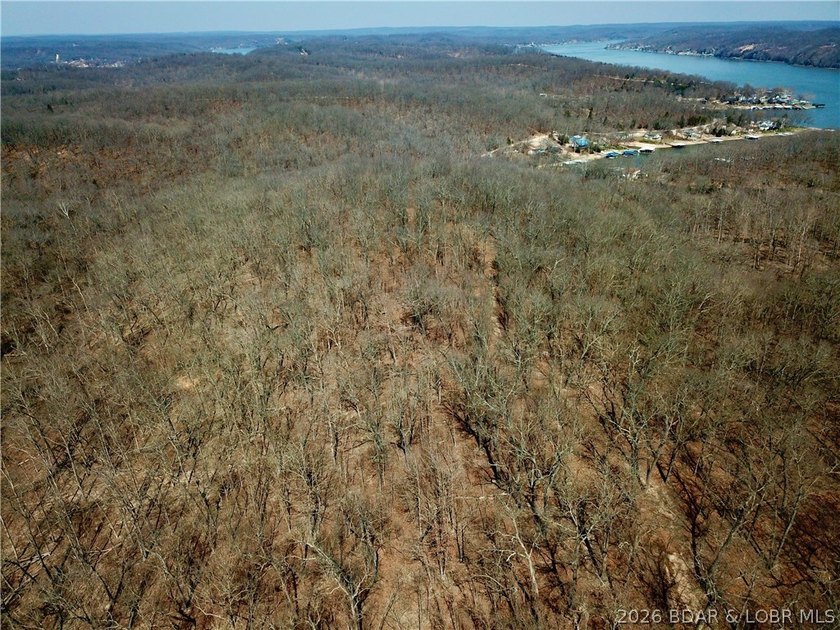 Build your dream country estate with lake views of the 50mm or - photo 26