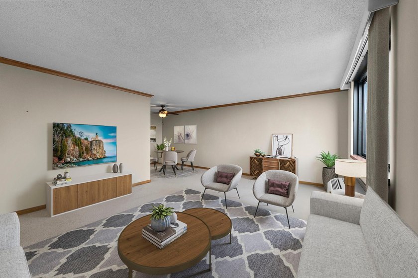 Enjoy the view of all of St. Paul &amp; beyond our your 17th floor - photo 13
