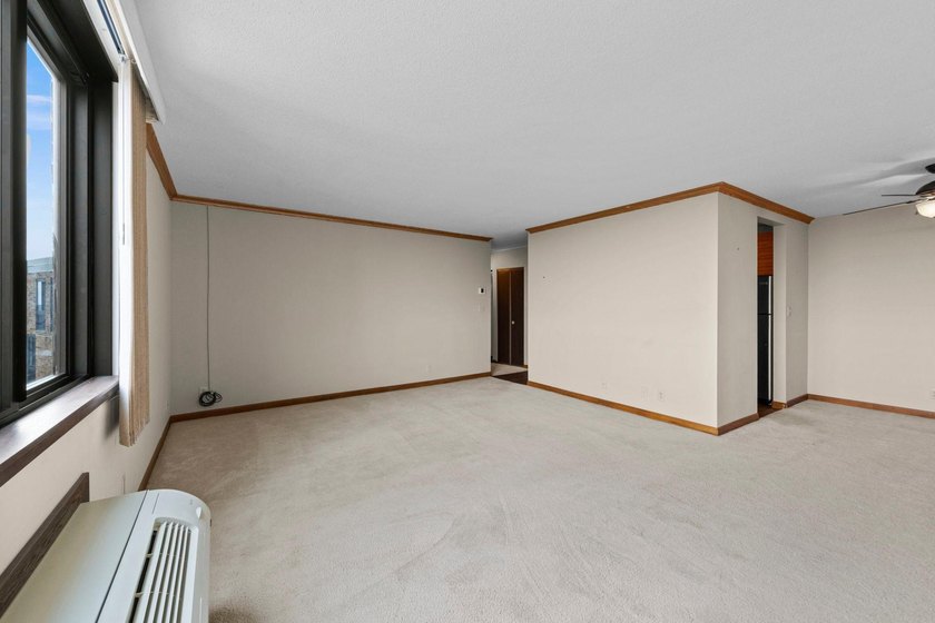 Enjoy the view of all of St. Paul &amp; beyond our your 17th floor - photo 14