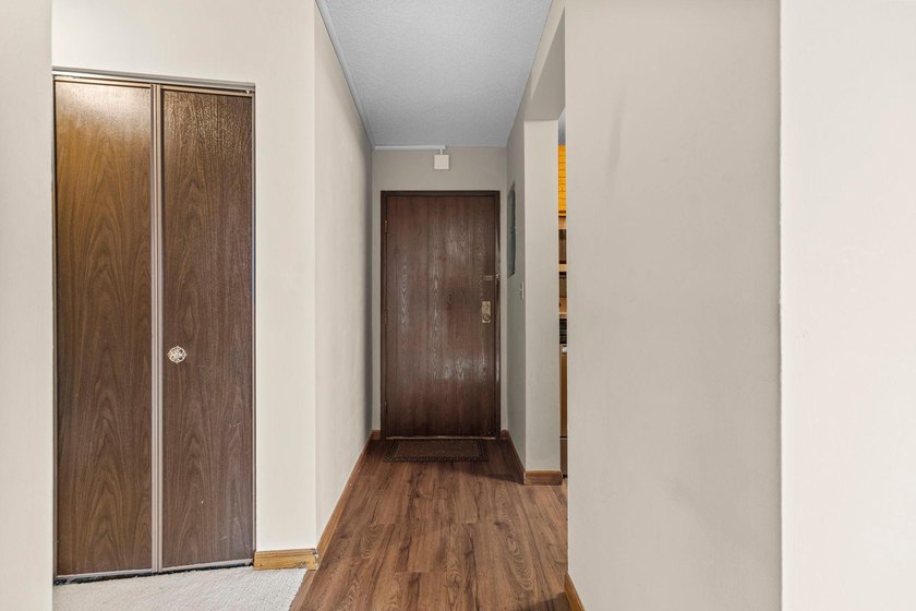 Enjoy the view of all of St. Paul &amp; beyond our your 17th floor - photo 31