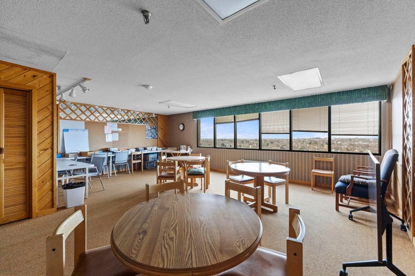 Enjoy the view of all of St. Paul &amp; beyond our your 17th floor - photo 38