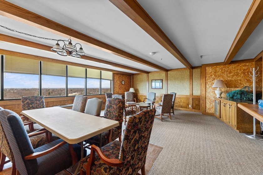 Enjoy the view of all of St. Paul &amp; beyond our your 17th floor - photo 42
