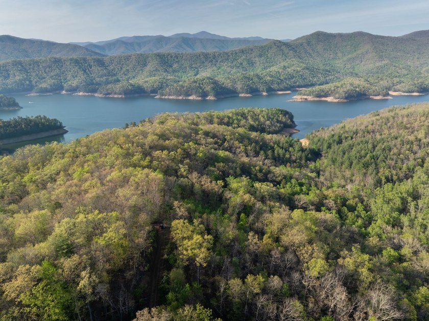 115+/- Acres in Graham County bordering Nantahala National - photo 3