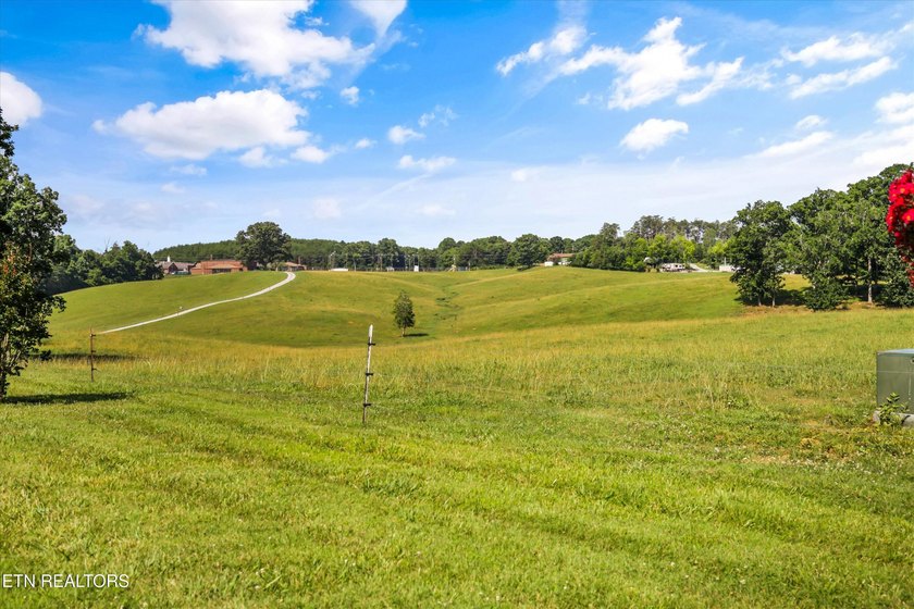 Welcome to one of East Tennessee's most extraordinary legacy - photo 4