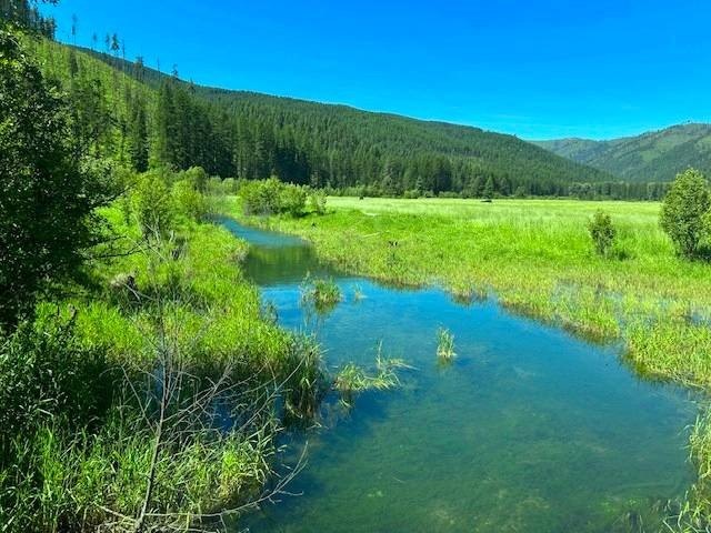 Saw Creek Ranch --Gem of the North-West! Own your very own 337 - photo 4