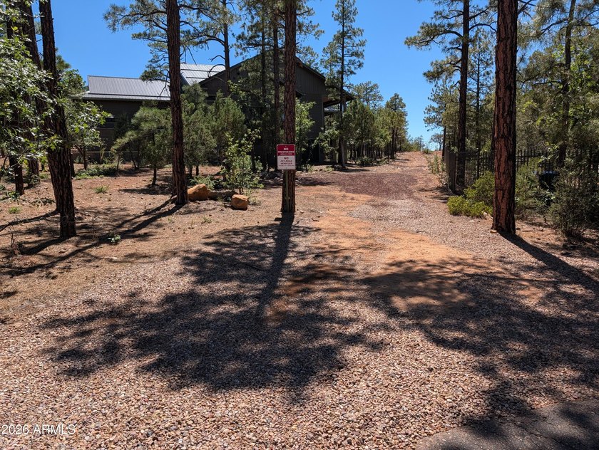 Stunning Custom Home in Sierra Pines - 3 Bed, 2 Bath on Nearly 1 - photo 4
