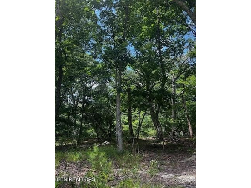 Build your dream home on this beautiful, oversized lot in the - photo 2