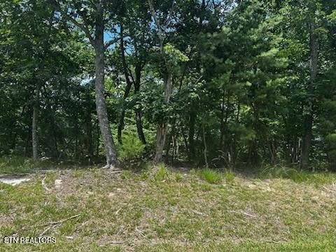 Build your dream home on this beautiful, oversized lot in the - photo 4