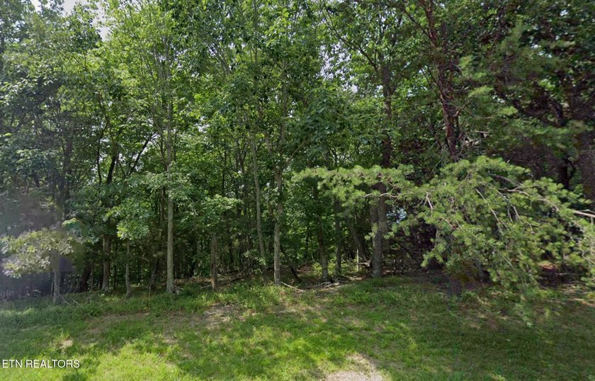 Build your dream home on this beautiful, oversized lot in the - photo 5