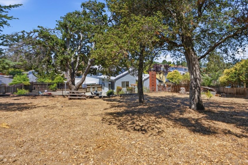 Charming Castro Valley home with Natural Beauty of a Back Yard - photo 14