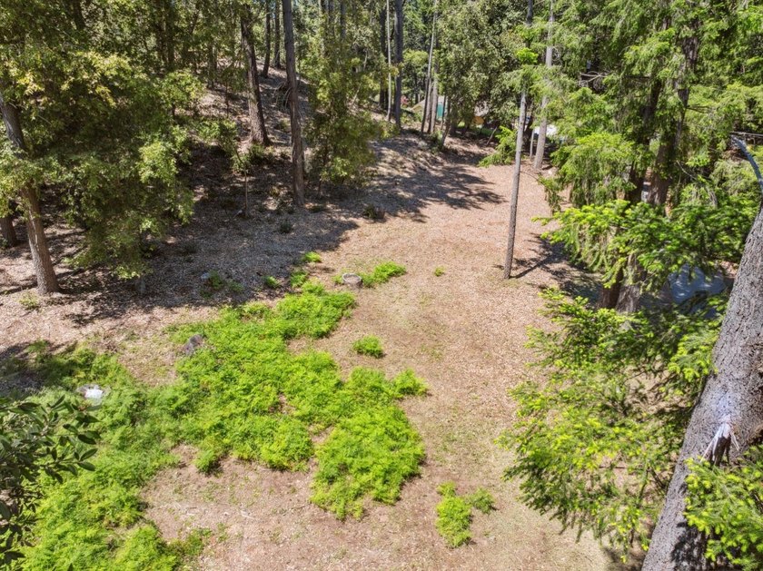 Build-ready 1.6-acre parcel in Bonny Doon with two optional - photo 3