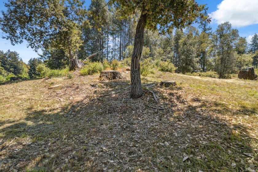 Build-ready 1.6-acre parcel in Bonny Doon with two optional - photo 7