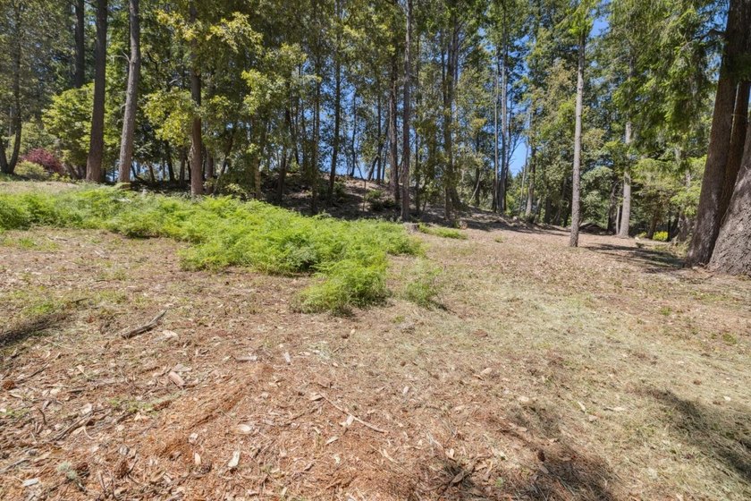 Build-ready 1.6-acre parcel in Bonny Doon with two optional - photo 10