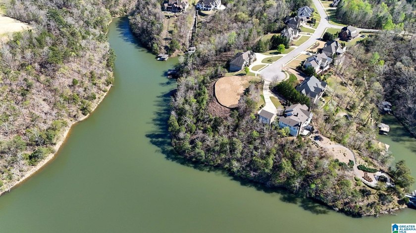 Rare opportunity to have this much water frontage on Lake - photo 8