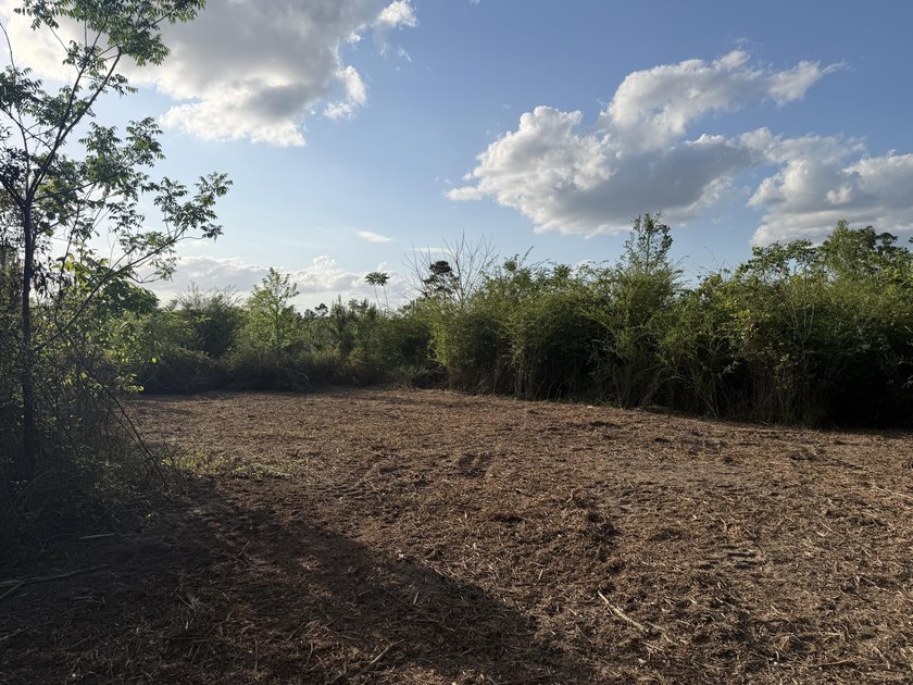 8 acres with frontage on Hwy 48 E in Sandy Hook, MS, between - photo 4