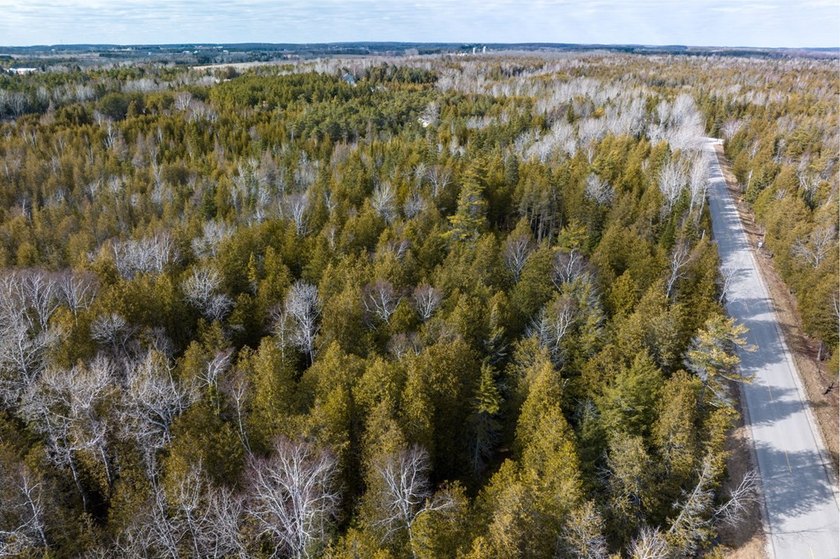 This half acre lot where Glidden Drive begins offers a rare - photo 4