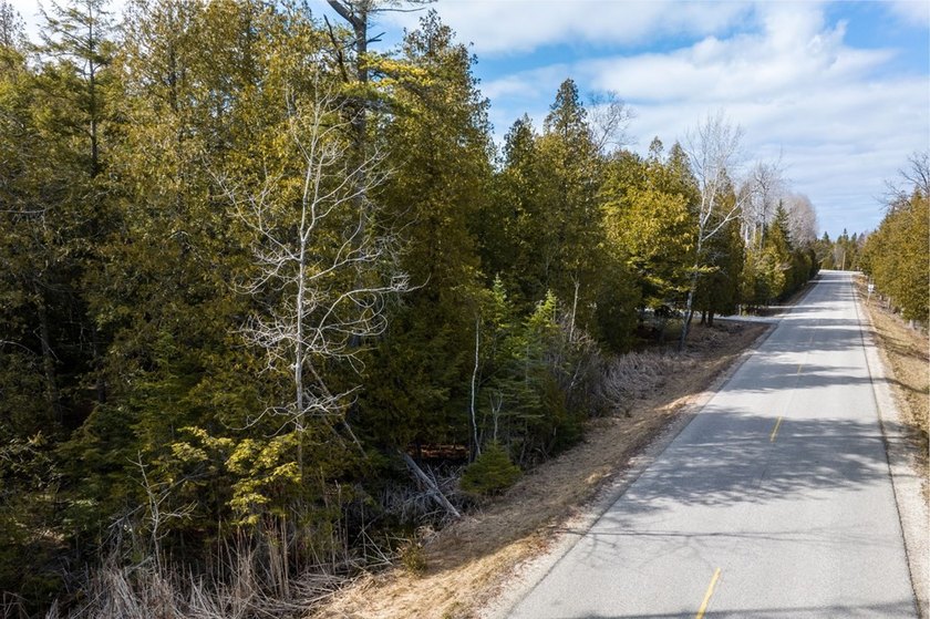 This half acre lot where Glidden Drive begins offers a rare - photo 6