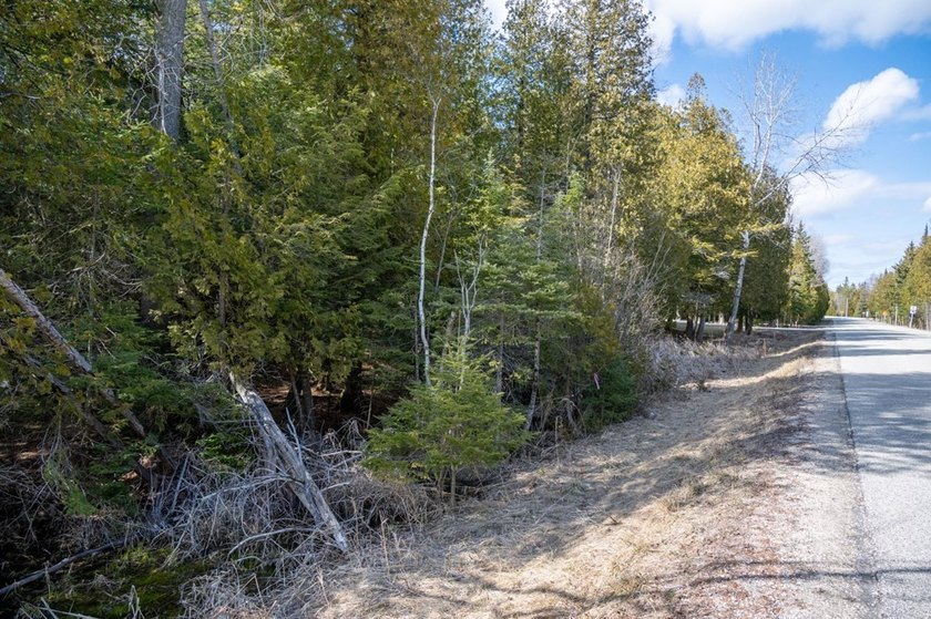 This half acre lot where Glidden Drive begins offers a rare - photo 8
