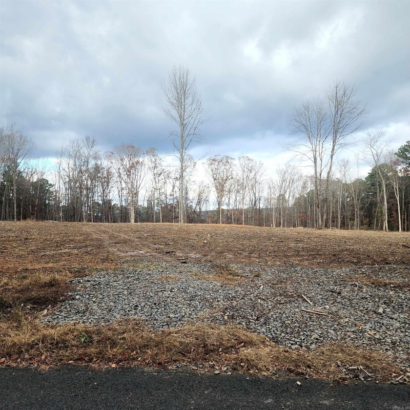 PRIME 10.82 Acres with NO RESTRICTIONS - Your Dream Property - photo 2