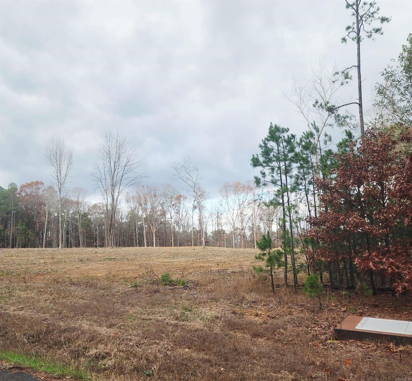 PRIME 10.82 Acres with NO RESTRICTIONS - Your Dream Property - photo 3